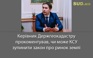 Керівник Держгеокадастру прокоментував, чи може КСУ зупинити закон про ринок землі
