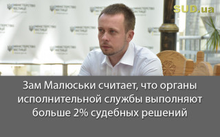 Зам Малюськи считает, что органы исполнительной службы выполняют больше 2% судебных решений
