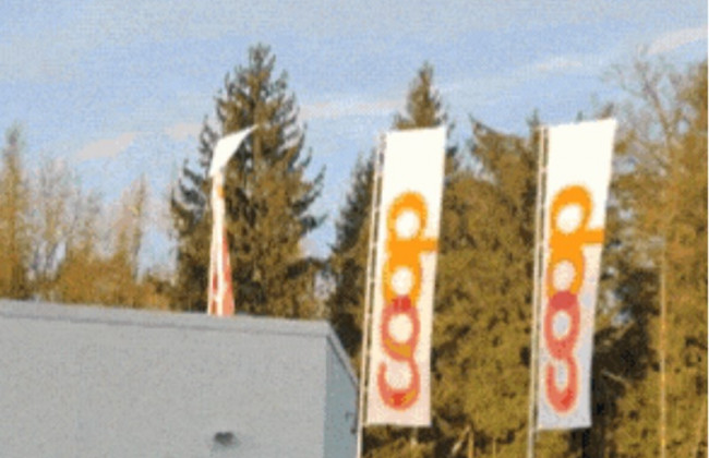 Автопилот Tesla принял рекламные флаги за светофоры и сломался