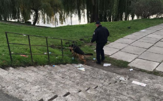 Жестокое убийство на столичной Троещине: задержан мужчина, который задушил знакомую