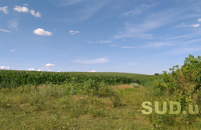 Як здійснити державну реєстрацію земельної ділянки: 3 кроки