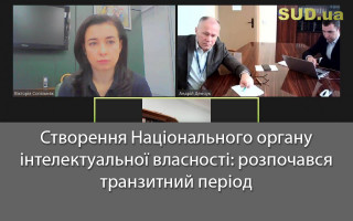 Створення Національного органу інтелектуальної власності: розпочався транзитний період