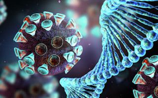 Ученые доказали, что после COVID-19 клетки могут атаковать здоровые ткани человека