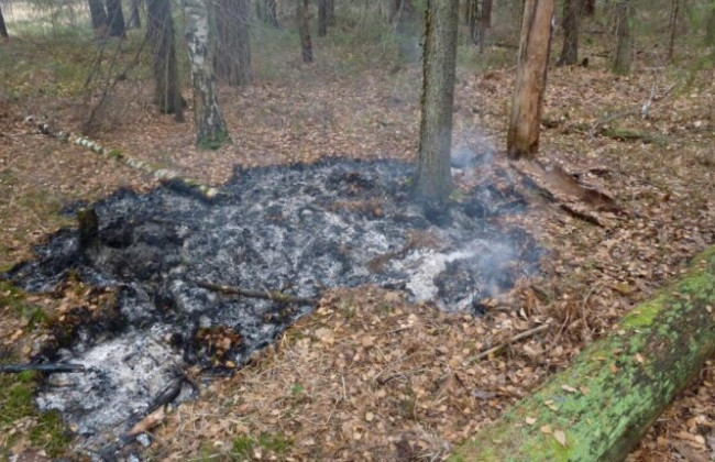 В Запорожской области заживо сожгли мужчину