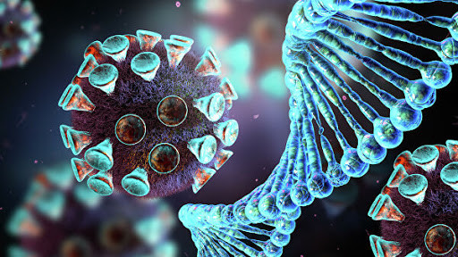 Ученые доказали, что после COVID-19 клетки могут атаковать здоровые ткани человека
