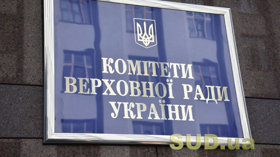 Обговорення законопроекту про Бюро економічної безпеки України: Гетманцев забув включити звук онлайн-трансляції