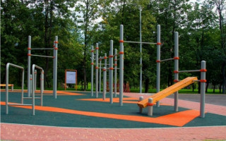 Кияни просять встановити біля дитмайданчиків комплекси Street workout