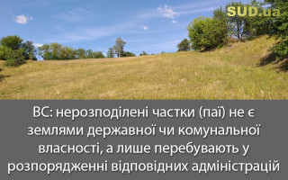 ВС: нерозподілені частки (паї) не є землями державної чи комунальної власності, а лише перебувають у розпорядженні відповідних адміністрацій