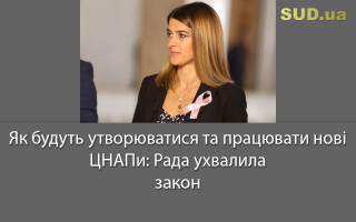 Як будуть утворюватися та працювати нові ЦНАПи: Рада ухвалила закон