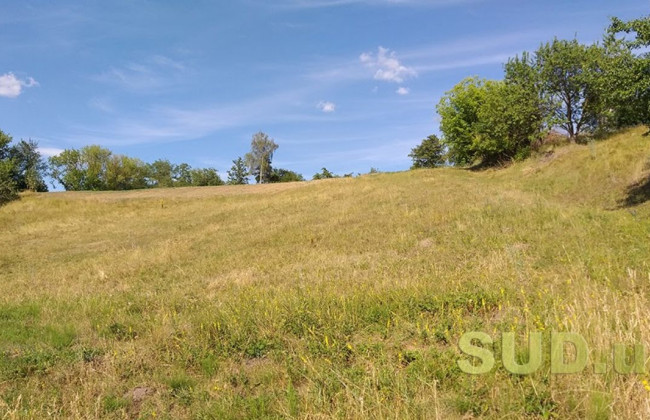 ВС: нерозподілені частки (паї) не є землями державної чи комунальної власності, а лише перебувають у розпорядженні відповідних адміністрацій