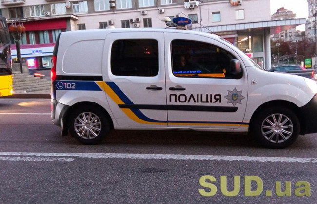 В Киеве дочь организовала разбойное нападение на свою мать