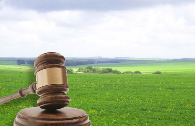 Аграрний комітет розглядає концепцію страхування сільськогосподарської продукції з державною підтримкою