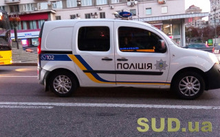 В Киеве дочь организовала разбойное нападение на свою мать