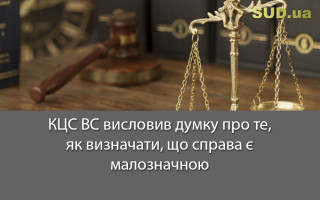 КЦС ВС висловив думку про те, як визначати, що справа є малозначною