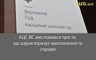 КЦС ВС висловився про те, що характеризує малозначність справи