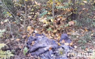 Під Києвом чоловік вмовив знайому продати квартиру в Одесі, потім вбив її й забрав гроші