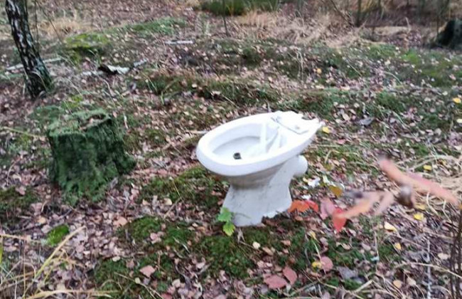 Посреди киевского леса нашли унитаз
