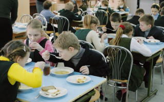 Рада погодила безкоштовне харчування для дітей загиблих військових