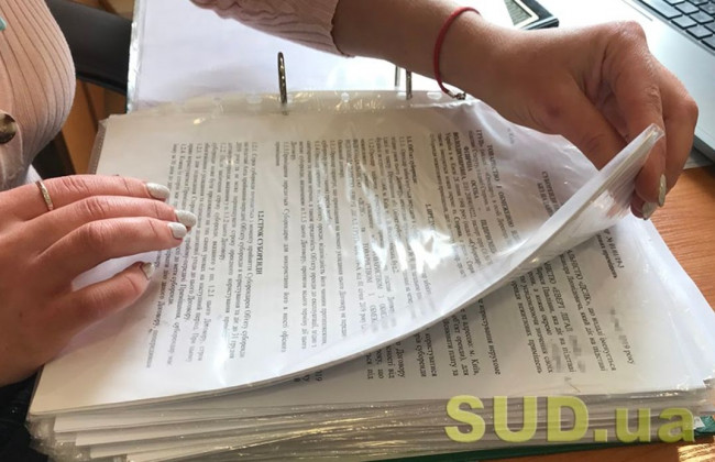 Установчий документ юридичної особи: що варто знати