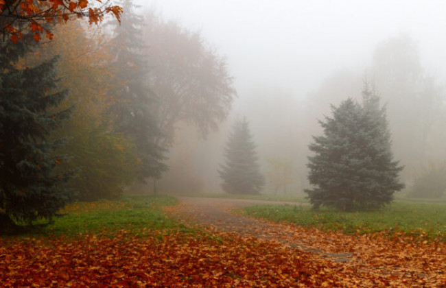 Одессу накрыл густой туман