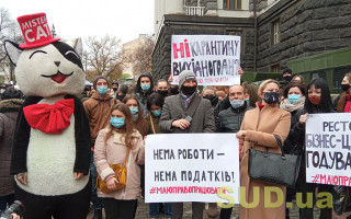 В Киеве митингуют против введения карантина выходного дня: фото