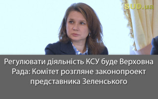 Регулювати діяльність КСУ буде Верховна Рада: Комітет розгляне законопроект представника Зеленського