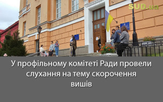 У профільному комітеті Ради провели слухання на тему скорочення вишів