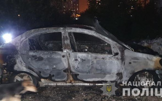 В Киеве пенсионеру сожгли автомобиль из-за сухих листьев: фото