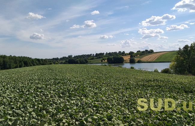 КАС ВС визначив, яким чином здійснюється формування земельних ділянок