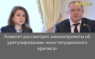 Комитет рассмотрел законопроекты об урегулировании «конституционного кризиса»