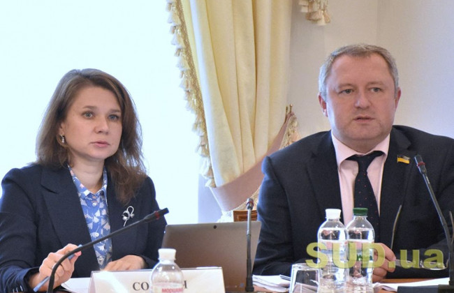 Комитет рассмотрел законопроекты об урегулировании «конституционного кризиса»