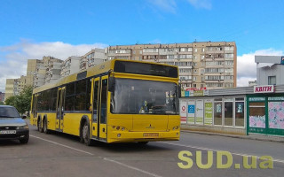 В Киеве водитель вытолкал пожилого мужчину из маршрутки, видео