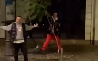 В Киеве мужчина посреди улицы вырвал дерево, видео