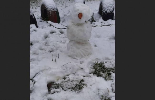 Украину начало засыпать первым снегом: впечатляющие фото