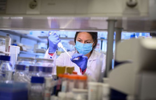 Назвали дни, в которые больше всего фиксируют новых случаев COVID-19