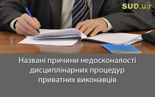Названі причини недосконалості дисциплінарних процедур приватних виконавців
