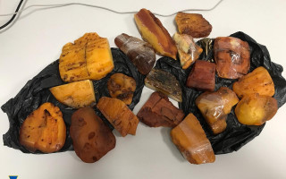 Мешканців Рівного викрили на контрабанді рідкісного виду бурштину в арабську країну