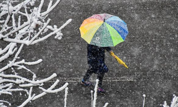 Первый снег в Киеве: водителям нужно срочно «переобуть» машины и быть внимательными на дороге
