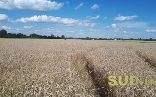 Передача земель громадам: Кабмін запустив механізм