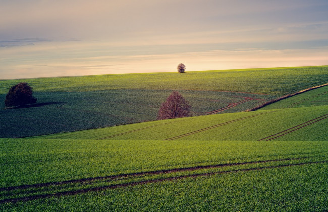 Глава Госгеокадастра подписал приказ о передаче земель сельхозназначения