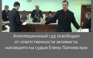 Апелляционный суд освободил от ответственности активиста, напавшего на судью Елену Лапчевскую