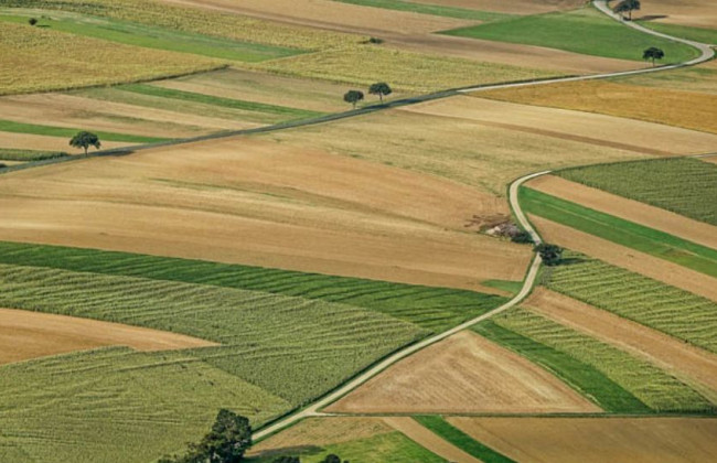 Проведення агрохімічної паспортизації земельної ділянки: позиція ВС