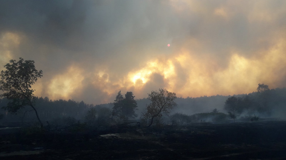 Корупція та розкрадання держмайна: ДБР визначило головну причину масштабних пожеж на Луганщині