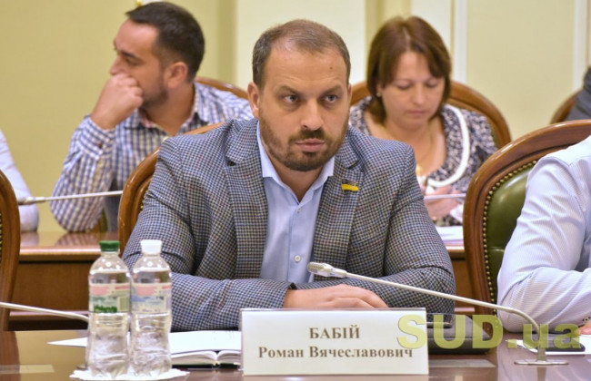 Зміни щодо ВРП будуть предметом окремого законопроекту