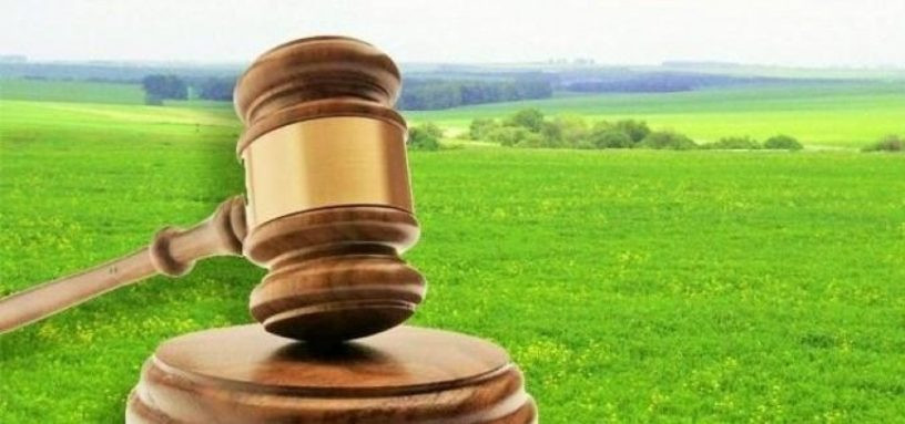 Коли акт органу влади про надання земельної ділянки можуть визнати незаконним: практика Верховного Суду