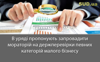 В уряді пропонують запровадити мораторій на держперевірки певних категорій малого бізнесу