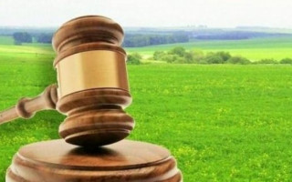 Коли акт органу влади про надання земельної ділянки можуть визнати незаконним: практика Верховного Суду