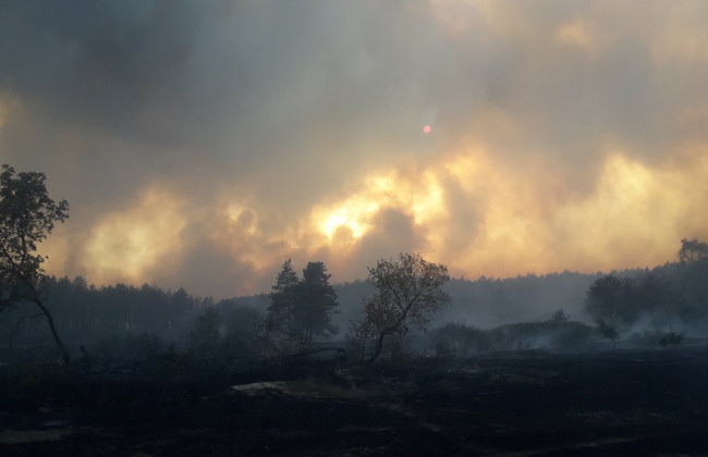 Корупція та розкрадання держмайна: ДБР визначило головну причину масштабних пожеж на Луганщині
