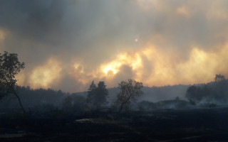 Корупція та розкрадання держмайна: ДБР визначило головну причину масштабних пожеж на Луганщині