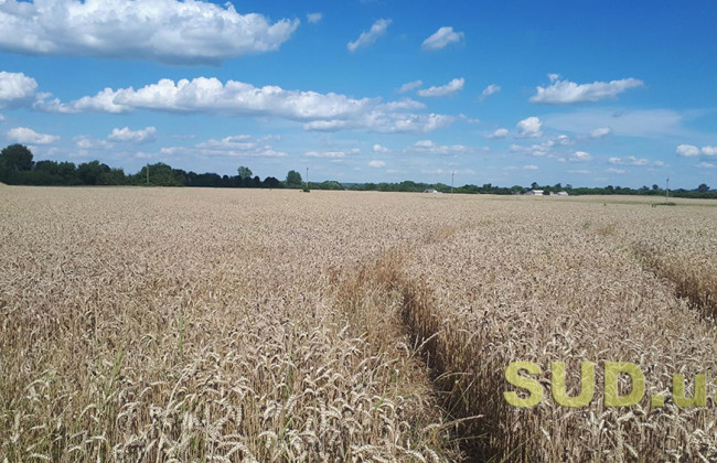 Територіальні громади отримали у комунальну власність перші гектари державних земель